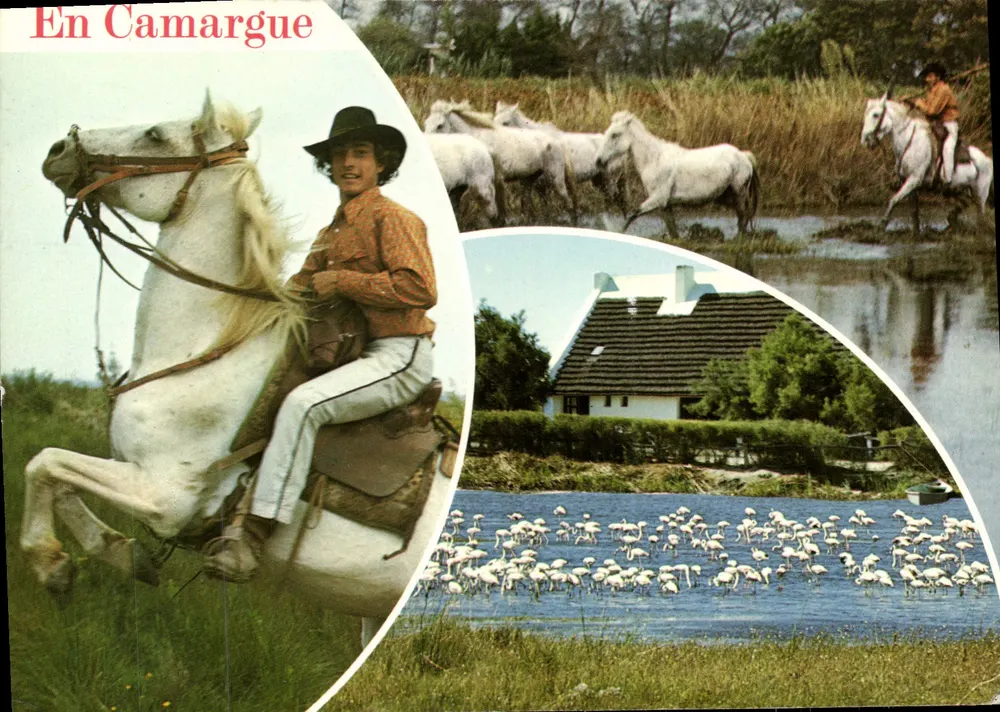 Na Camargue — Cenas da região — Edições da Provença G.A.E. - Frente