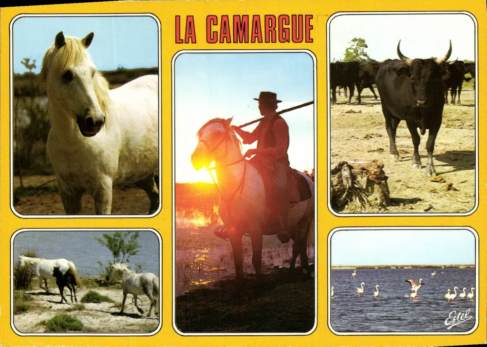 La Camargue — Landschaft mit Pferden, Stieren und Flamingos — Verlag Estel - Vorderseite