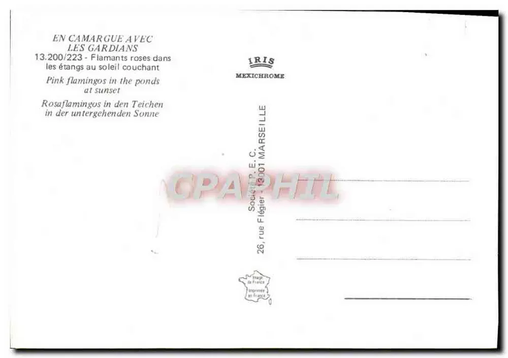 Lua — acima de uma linha de árvores — IRIS Mexichrome, n°13.200/223 - Verso
