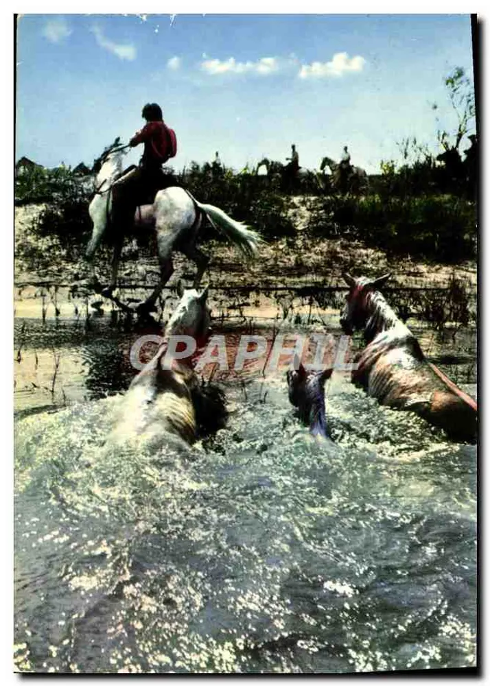 A Camargue — Passagem de um gué — Reprodução por Les Editions MAR - Frente