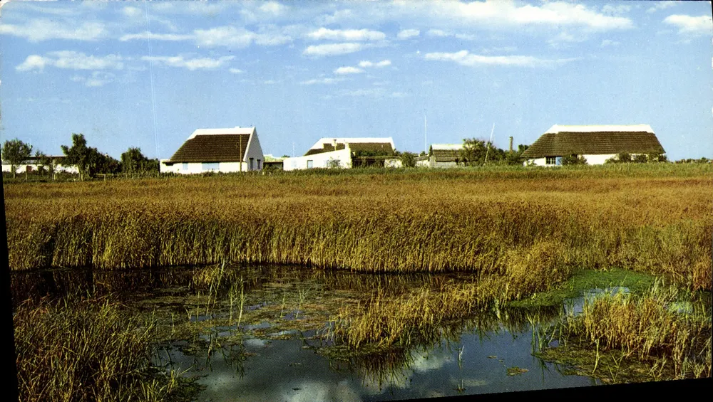 De Camargue — Land van jacht en veeteelt — Éditions Modernes Théâlac - Voorkant