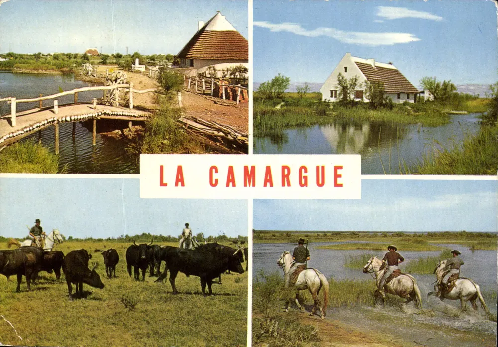 A Camargue — Paisagens e tradições — Sociedade Éditions de France, n° 13753 - Frente