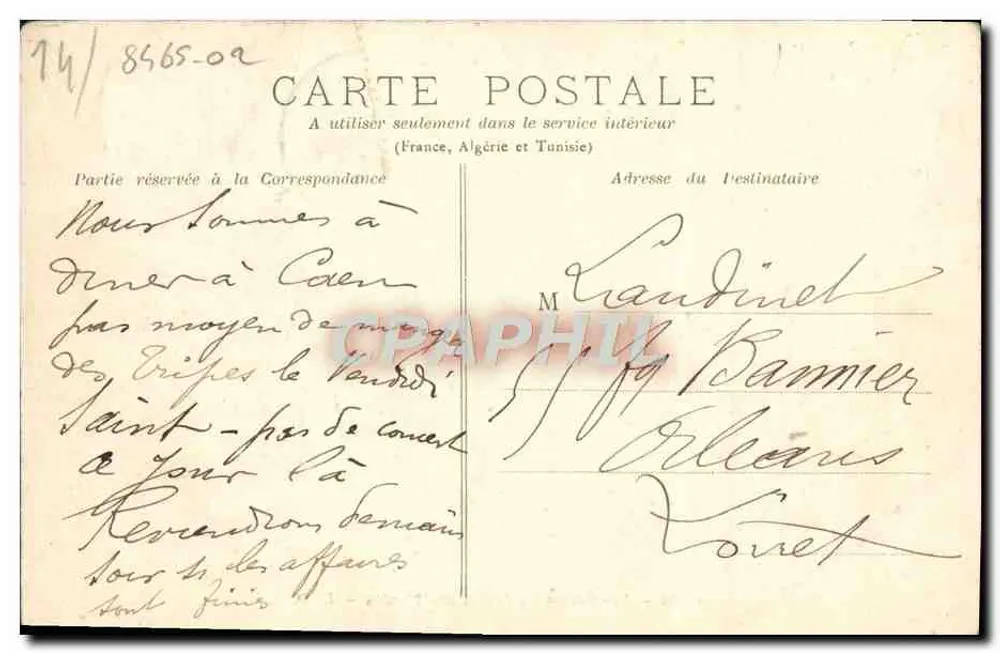 Caen — Die Gewächshäuser des Jardin des Plantes — L. D. - Rückseite