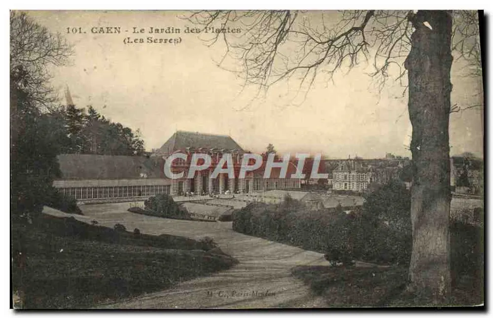 Caen - O Jardim das Plantas (As Serres) — Fototipia Desais, n°101 - Frente
