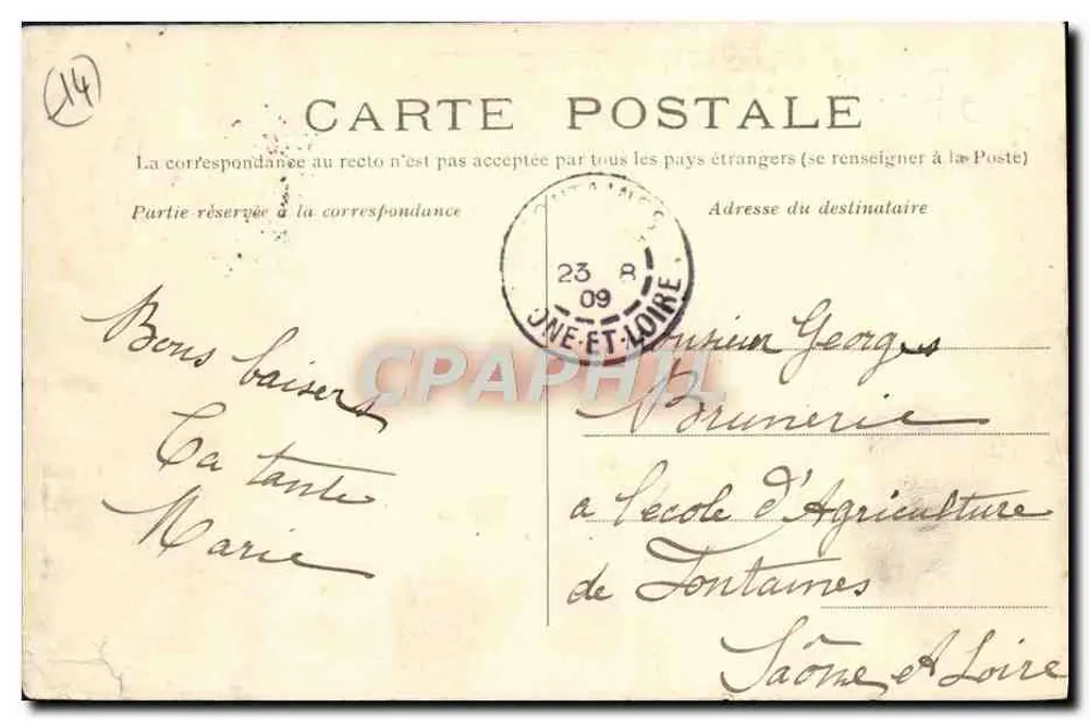 Trouville-sur-Mer — Küste der Corniche und Rue des Roches Noires — Edition P. L. X. - Rückseite