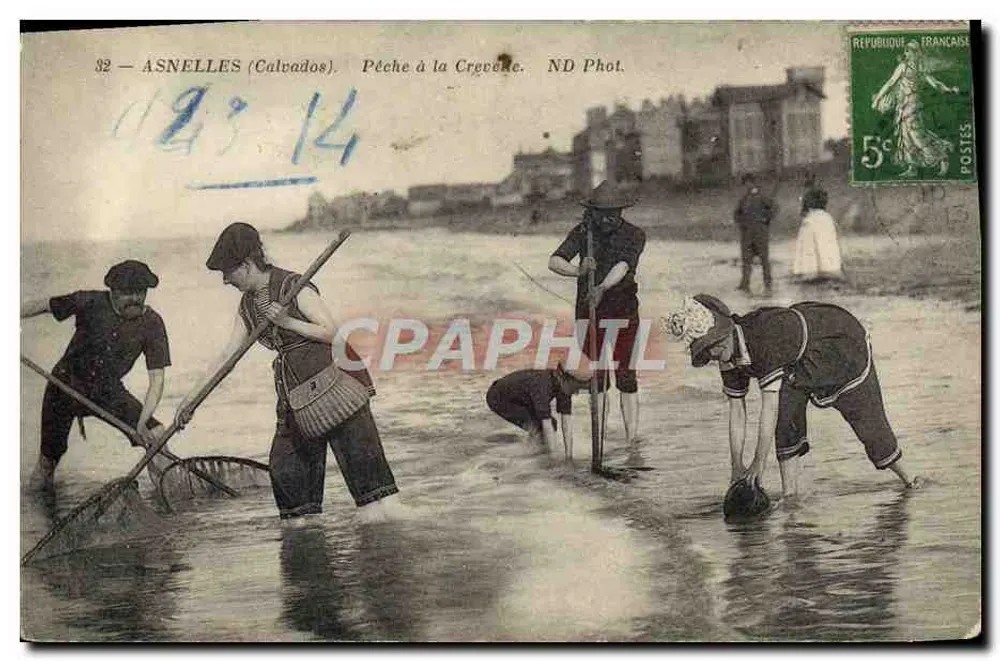 Asnelles (Calvados) — Pesca de camarão — ND Fot. - Frente