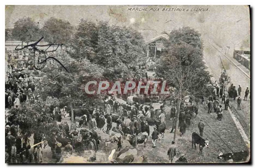 Marché aux Bestiaux à Lísieux — scène animée avec vaches et foule — éditeur impr. L. Lévy, n° 8465 - Anverso