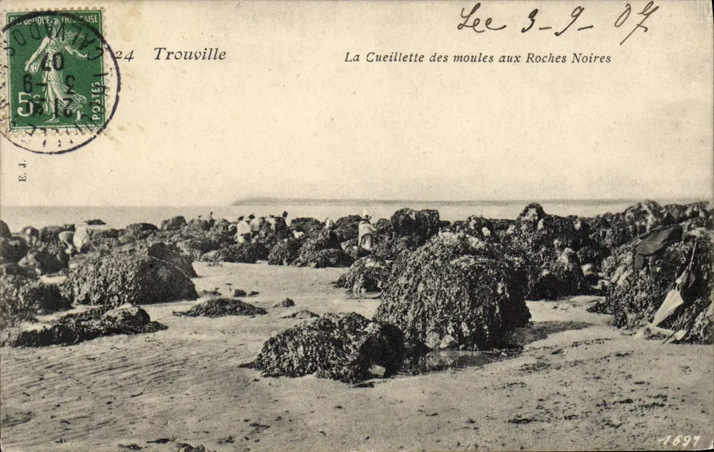 Trouville — Die Ernte der Muscheln an den Roches Noires — E.J. n°24 - Vorderseite
