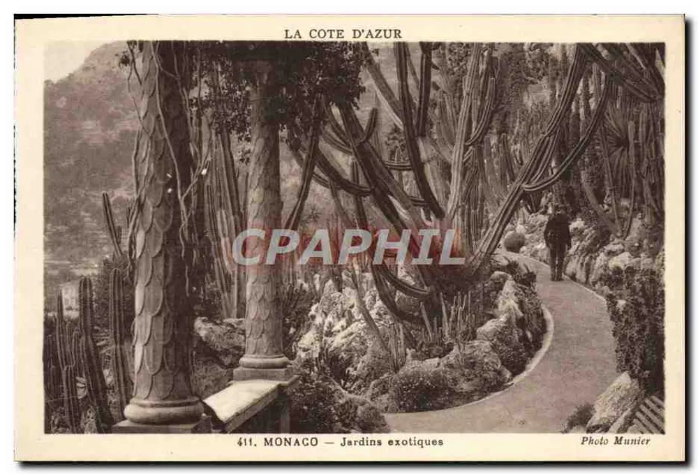 Mônaco — Jardins exóticos — Foto Munier, n° 411 - Frente