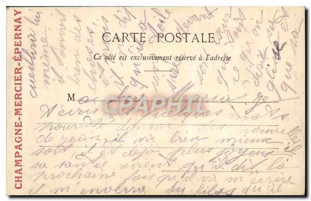 Cité di Carcassonne - Porta Anteriore del Castello — Librairie P. Ahadie, rue de la Cité, Carcassonne - Verso
