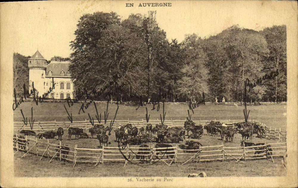 Kühe in der Parkweide — In der Auvergne — Éditions Malouaux, n°26 - Vorderseite