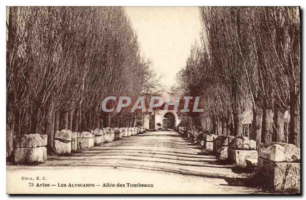 Arles — Les Alyscamps — Allée des Tombeaux — Coll, E.C. n°73 - Frente