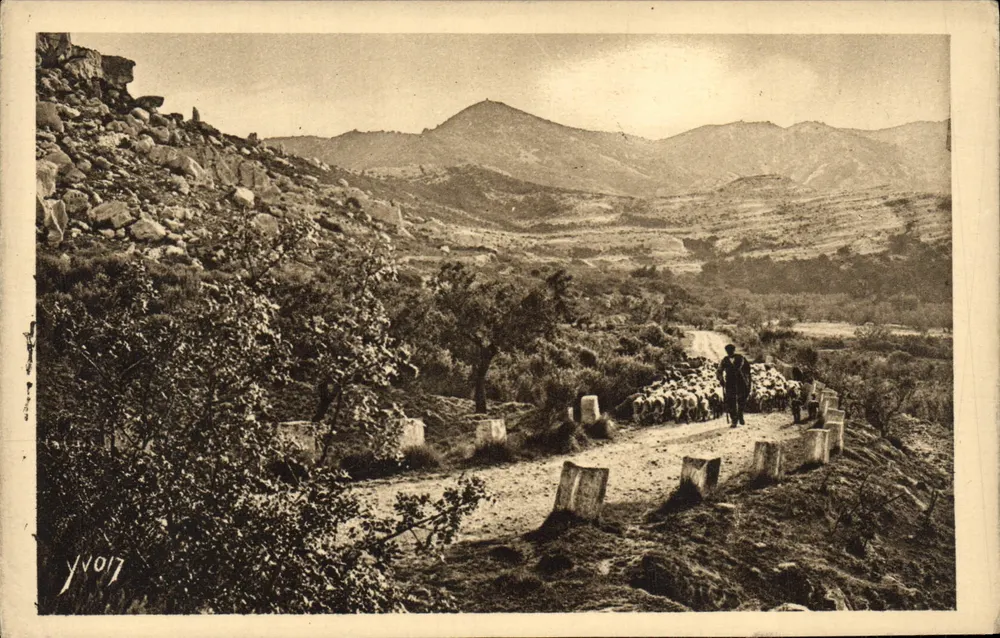 Landschaften und Steine der Provence — Auf der Straße von Saint-Rémy nach Baux — Edition Yvon - Vorderseite