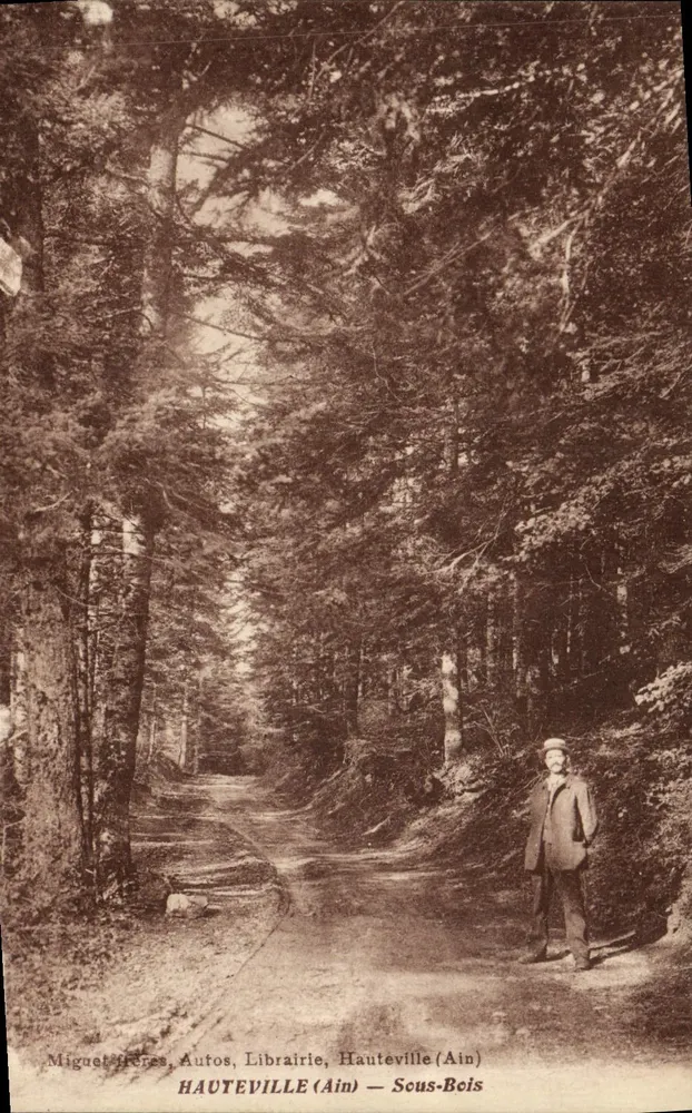 Hauteville (Ain) — Sous-Bois — Miguel Héres, Autos, Librairie - Frente
