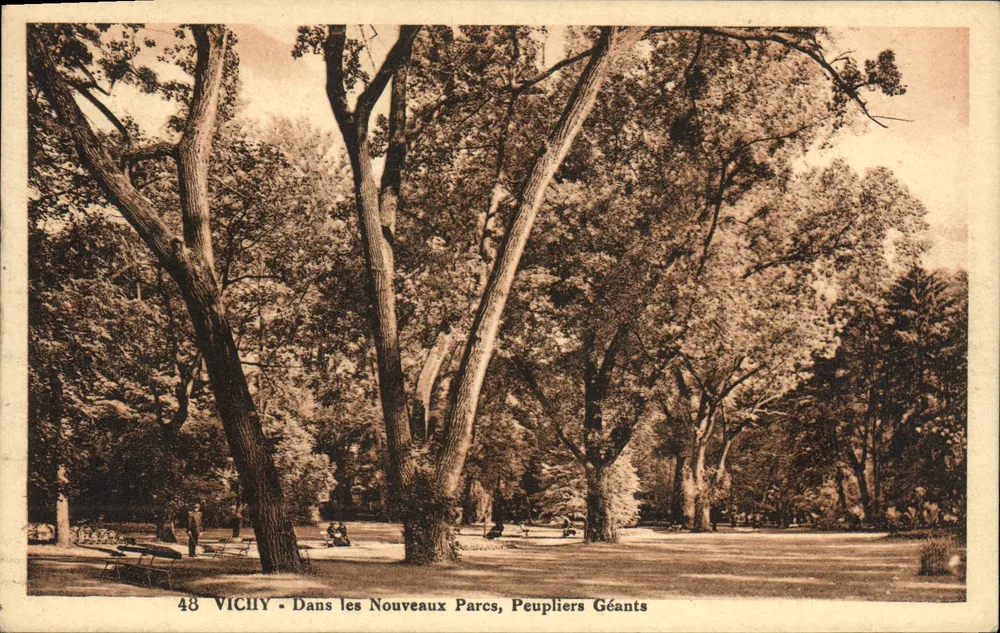 Vichy — In den neuen Parks, riesige Poplars — Verlag: Librairie du Casino, Vichy, n°48 - Vorderseite