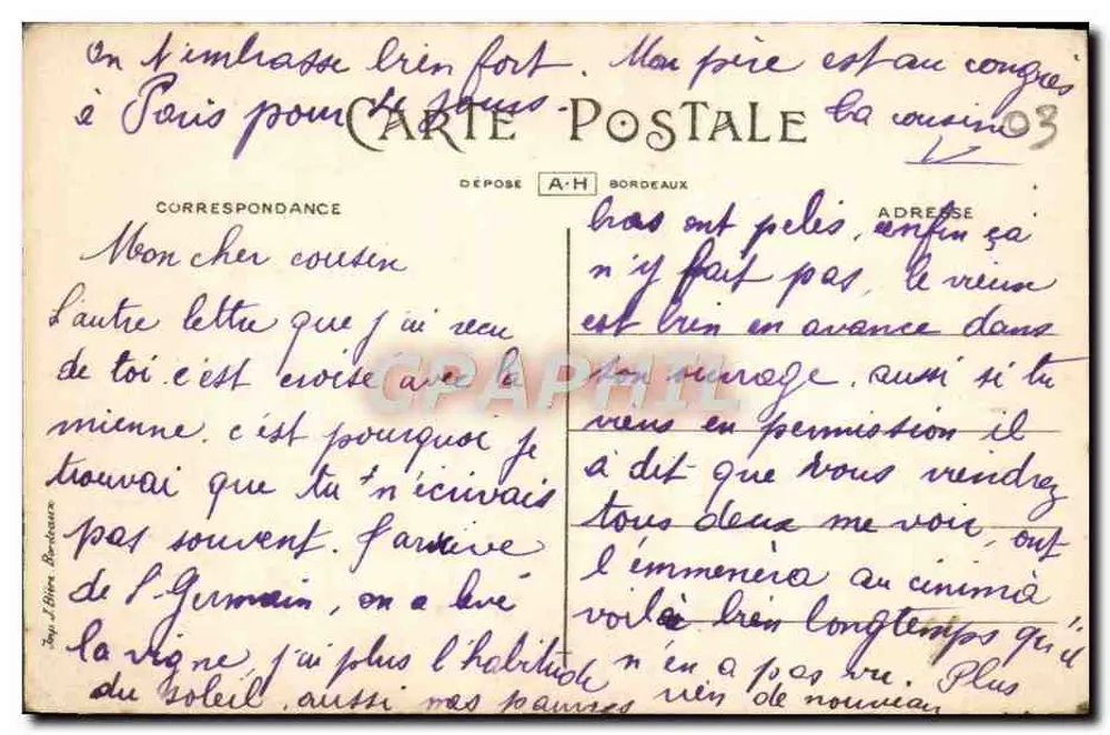Pansées — Jedna Pansja — De D'Coulin's 8011 - Rewers