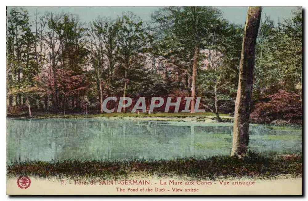 Floresta de SAINT-GERMAIN — A Lagoa dos Cães — Vista artística — Imp. fot. « L'Abîme » Paris - Frente