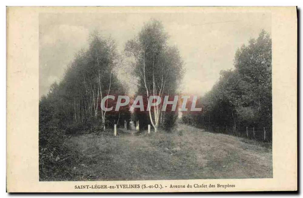 Saint-Léger-en-Yvelines (S.-et-O.) — Avenue du Chalet des Bruyères — Ansicht einer von Bäumen gesäumten Allee - Vorderseite