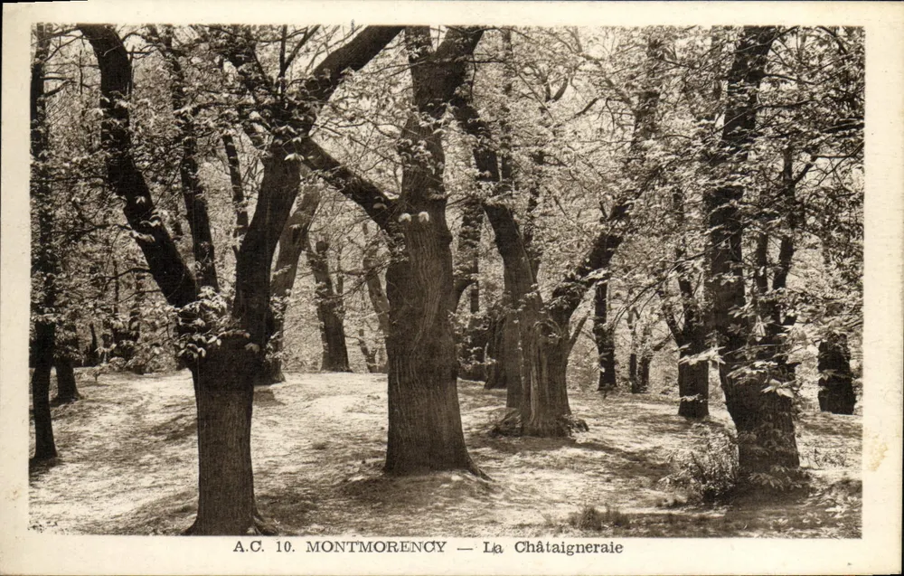 Montmorency — A Vista da Castanheira — A.C. 10 - Frente