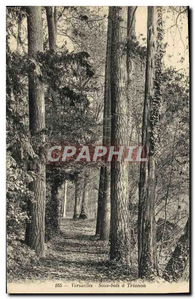 Versalhes — Sous-bois à Trianon — A. Bourdier, imp.-édit., Versalhes, n° 165 - Frente
