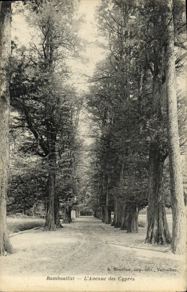Rambouillet — Avenida dos Ciprestes — A. Bourdier, imp.-edit., Versailles - Frente