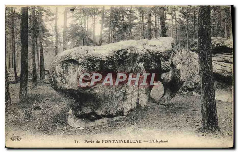 Woud van FONTAINEBLEAU — De Olifant - Voorkant