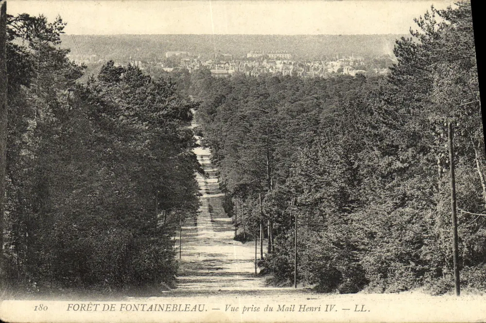 Forêt de Fontainebleau — Ansicht vom Mail Henri IV — LL. - Vorderseite