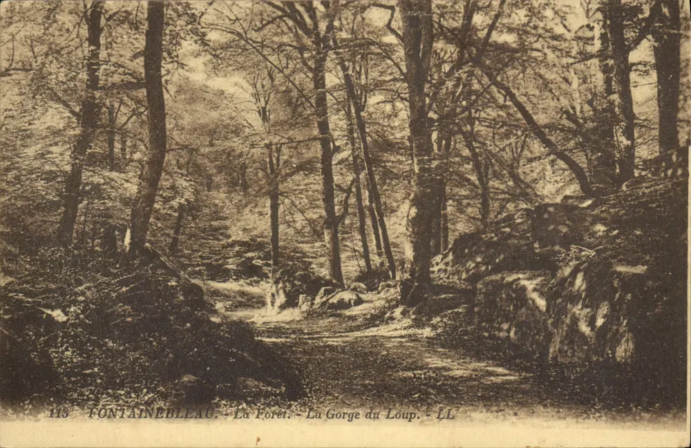 Fontainebleau — La Forêt — La Gorge du Loup — LL - Recto