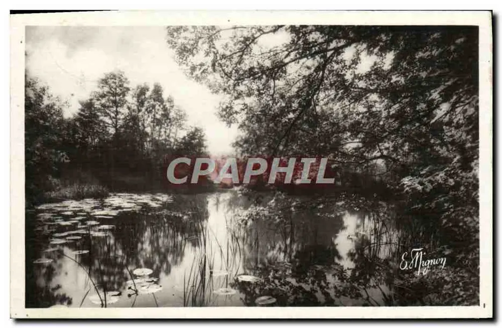 Paisagem de lago com nenúfares — E. Thignony — Editor: E. Thignony - Frente