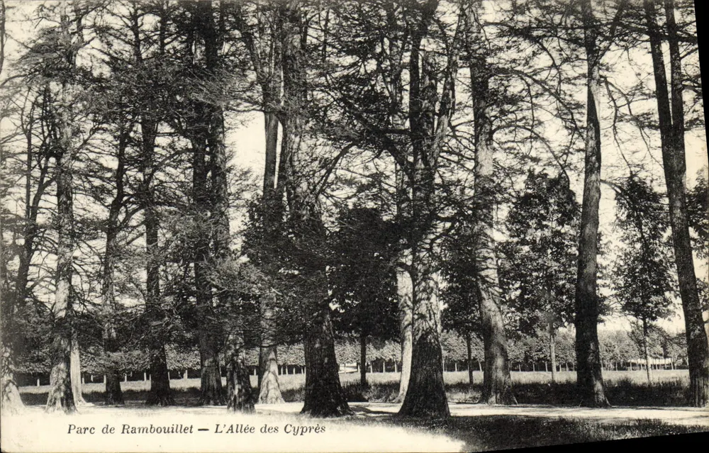 Park von Rambouillet — Die Zypressenallee — Librairie Nouvelle, Rambouillet - Vorderseite