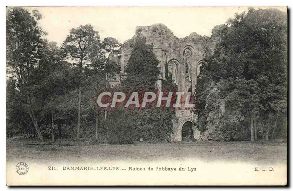DAMMARIE-LES-LYS — Ruinen der Abtei Lys — E. L. D. - Vorderseite