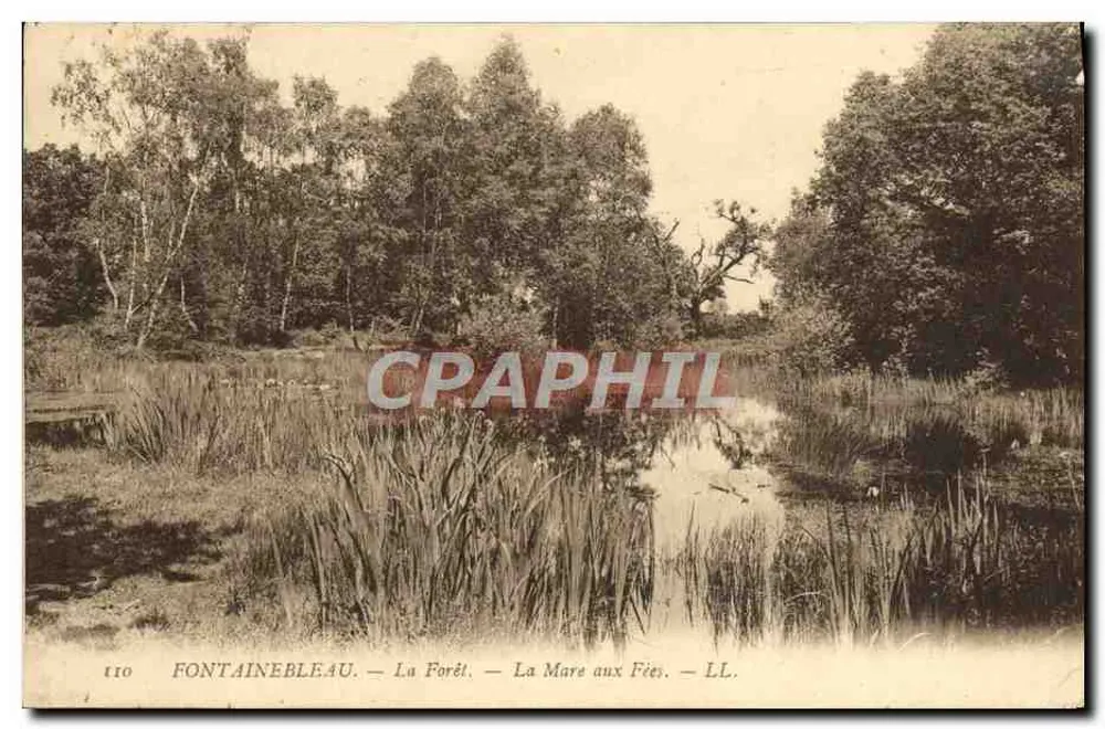 Fontainebleau — Die Wälder — Das Fées-See — LL. — N° 110 - Vorderseite
