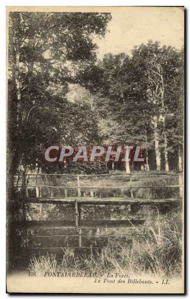 Fontainebleau - Der Wald - Die Brücke der Billebauts - LL - Vorderseite