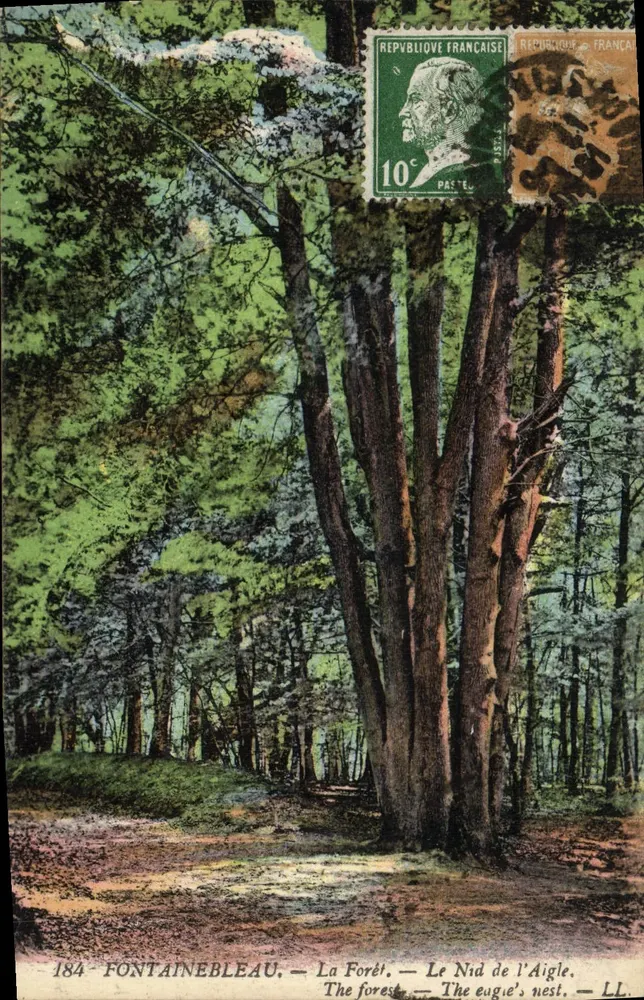 Fontainebleau — Die Forêt — Das Nest des Adlers — LL, Nr. 184 - Vorderseite