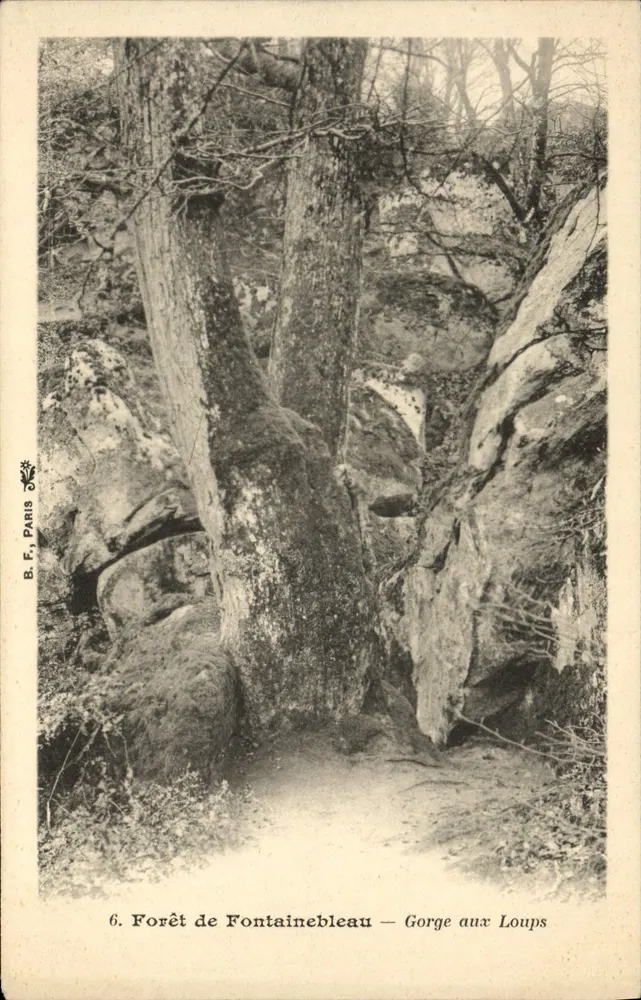Wald von Fontainebleau — Schlucht der Wölfe — B.F. Paris, n°6 - Vorderseite