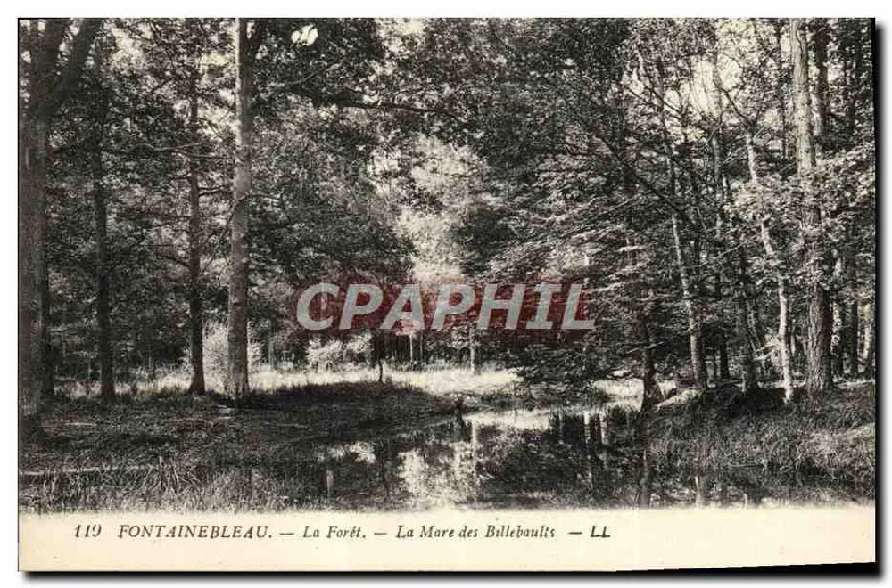 Fontainebleau — A Floresta — A Lagoa dos Billebaults — LL - Frente