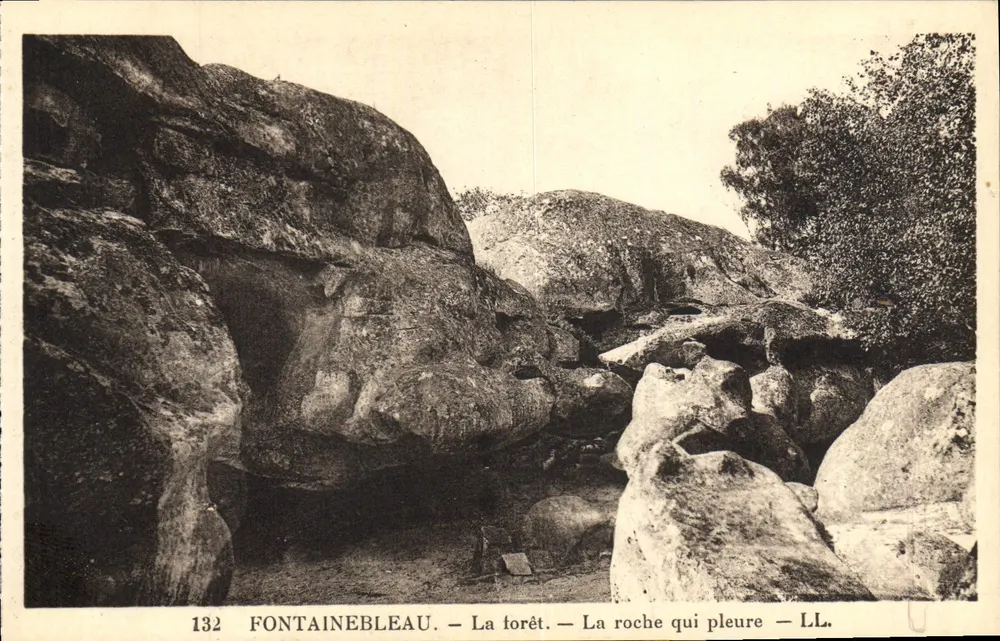 Fontainebleau — Die Forêt — Die weinende Felsen — LL. — Nr. 132 - Vorderseite