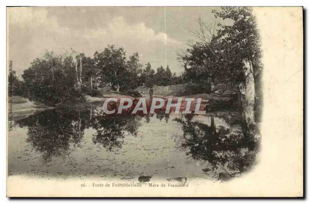 Floresta de Fontainebleau - Lago de Franchard — editor: Photo. Editor Fontainebleau, Sèvres - Frente