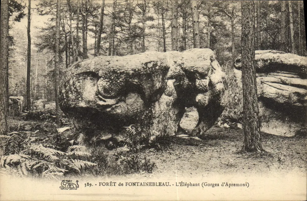 Der Elefant (Gorges d'Apremont) — Forêt de Fontainebleau — Nr. 389 - Vorderseite
