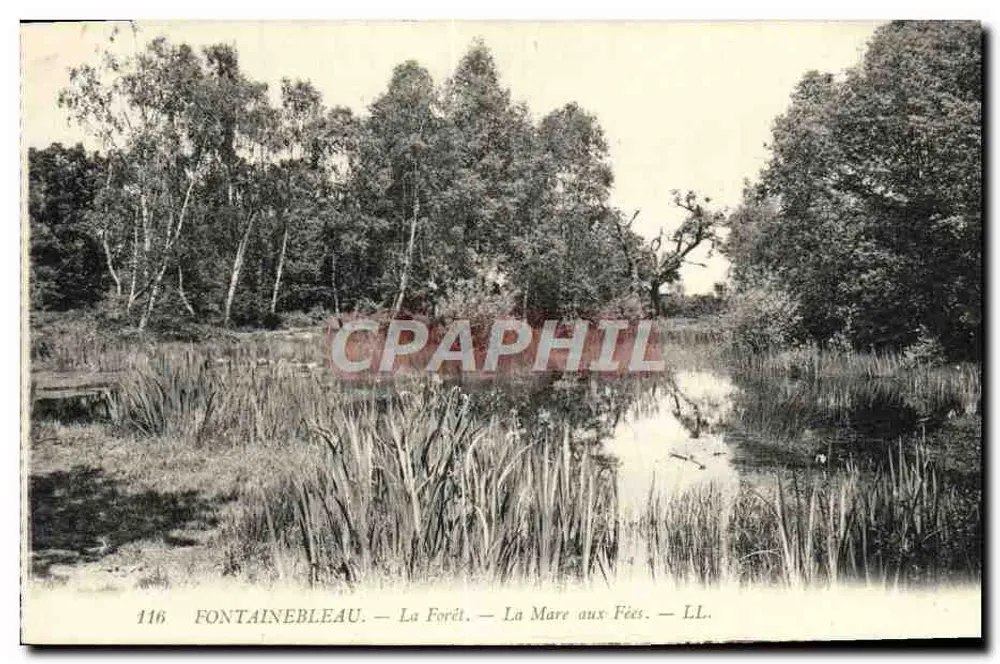 Fontainebleau — Der Wald — Das Fabelwasser — LL. — Nr. 116 - Vorderseite