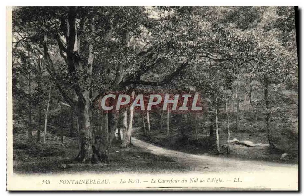 Fontainebleau — Der Wald — Der Kreuzungspunkt des Adlerhorsts — LL. — N° 149 - Vorderseite
