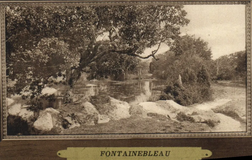 Fontainebleau — Vista do lago — Editor La Forêt, n°133 - Frente