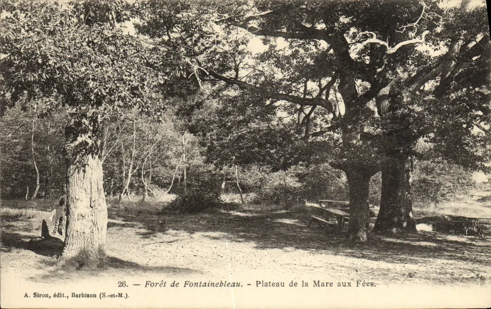 Wald von Fontainebleau — Plateau de la Mare aux Fées — A. Siron, Verleger, Barbizon (S.-et-M.) - Vorderseite