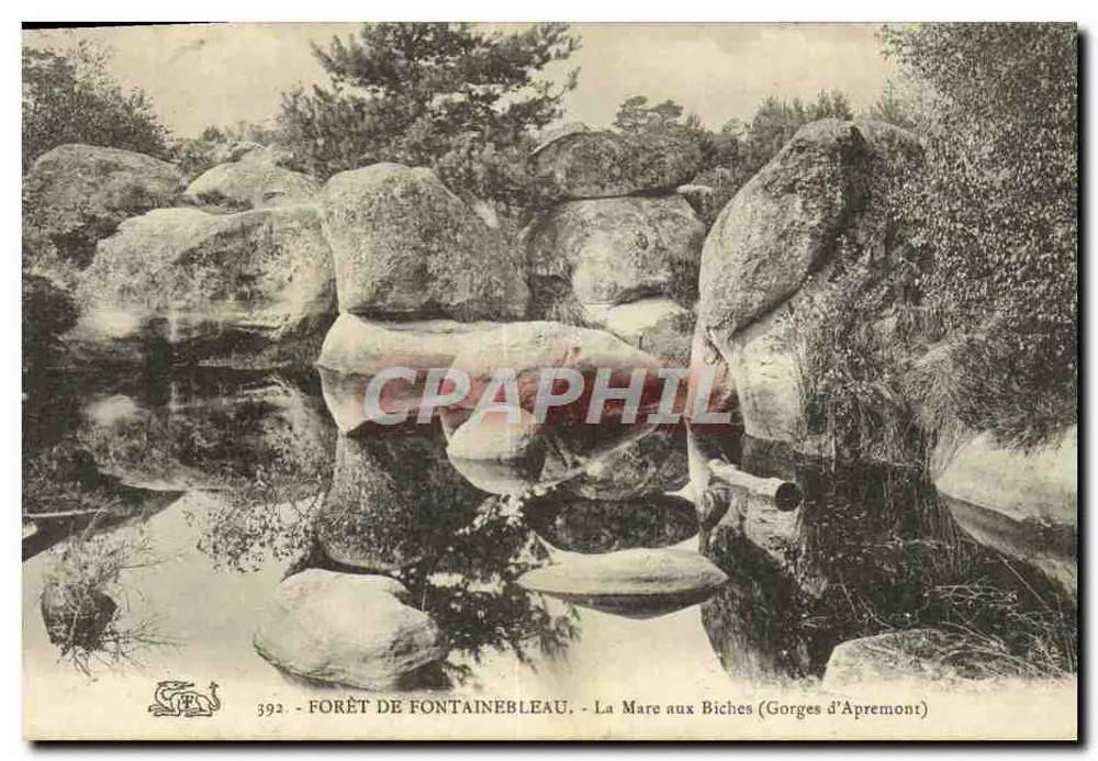 Forêt de Fontainebleau — La Mare aux Biches (Gorges d'Apremont) — n°392 - Vorderseite