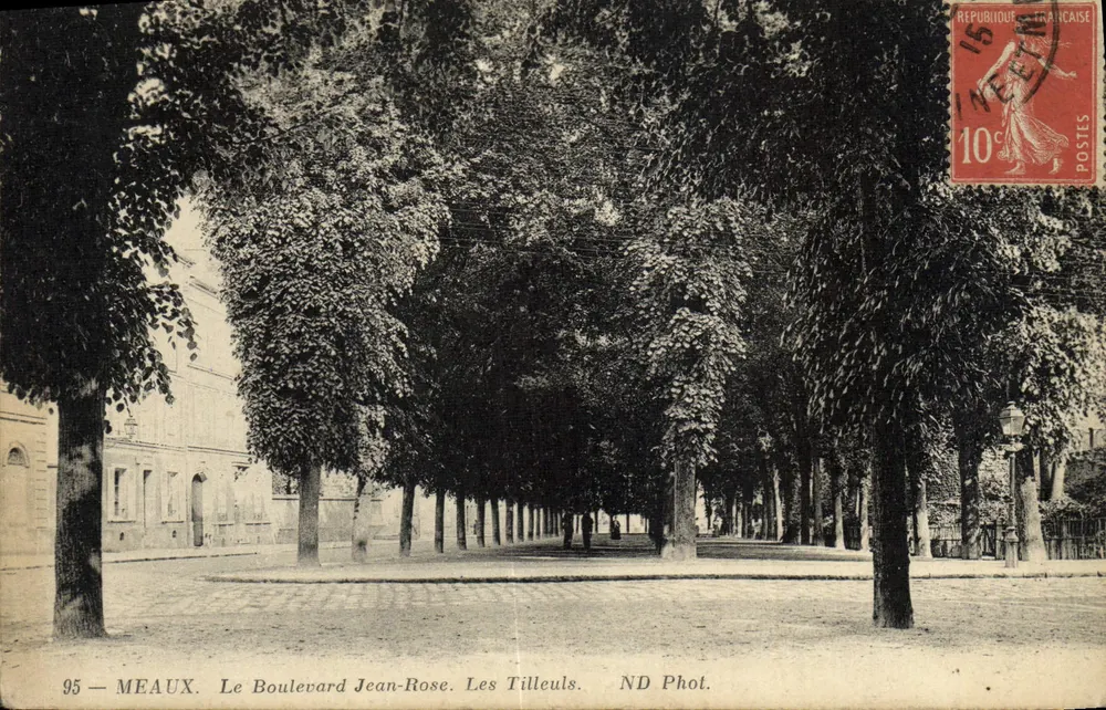 Meaux — Der Boulevard Jean-Rose. Die Linden — ND Fotografie - Vorderseite