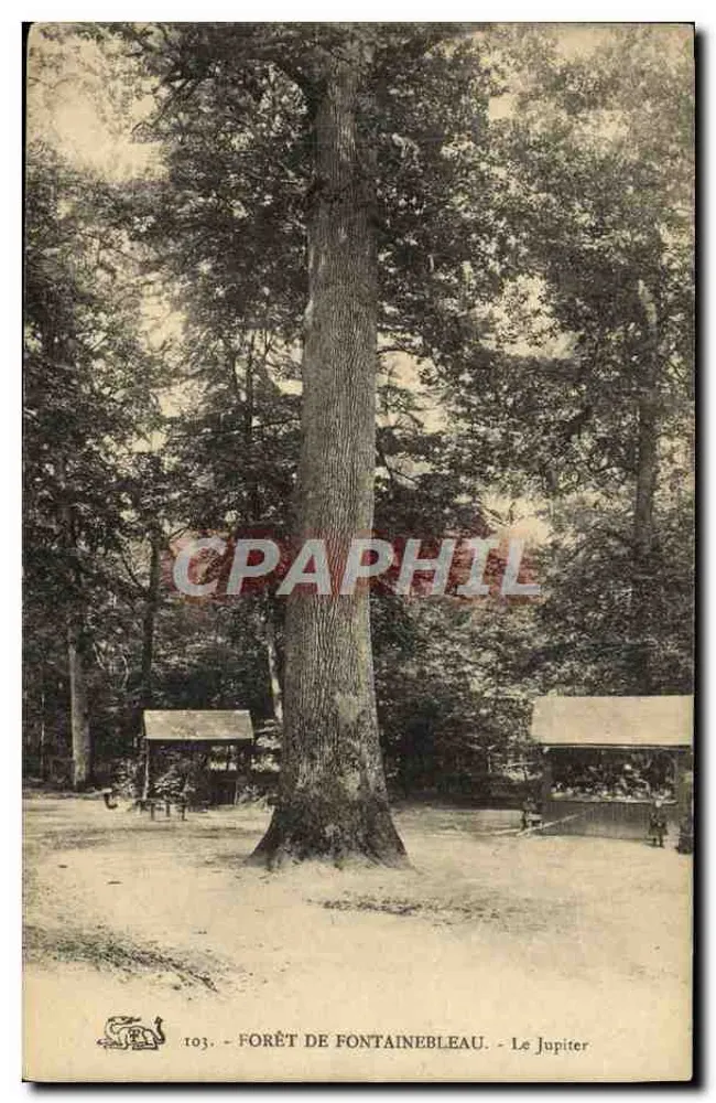 Bosque de Fontainebleau — El Júpiter — 103 - Anverso