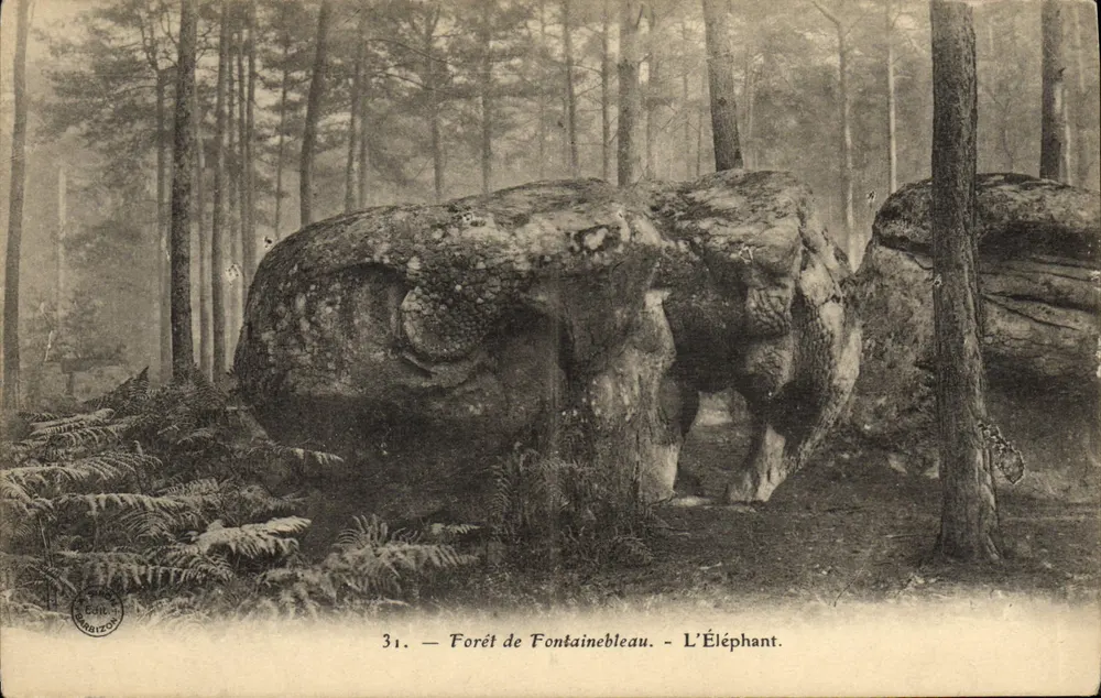 Foresta di Fontainebleau — L'Elefante — Editore Barbizon, n°31 - Recto