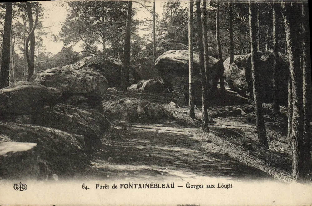 Wald von FONTAINEBLEAU — Gorges aux Loups — Verleger E.D. Nr. 64 - Vorderseite