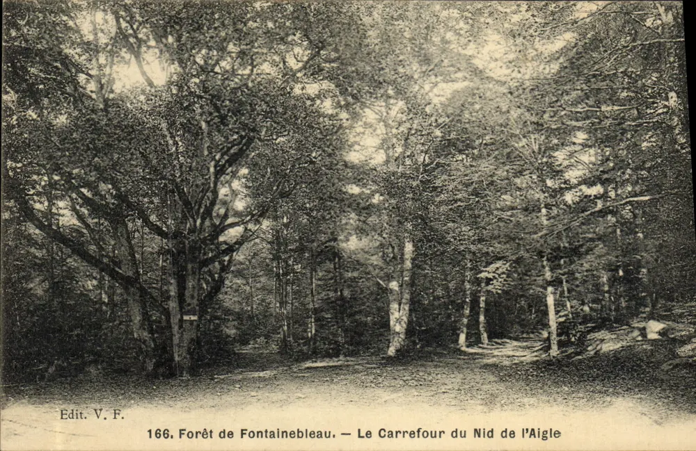 Wald von Fontainebleau — Carrefour du Nid de l'Aigle — Edit. V.F. n°166 - Vorderseite