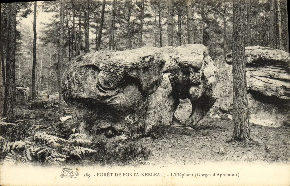 Der Elefant (Gorges d'Apremont) — Forêt de Fontainebleau — n° 389 - Vorderseite
